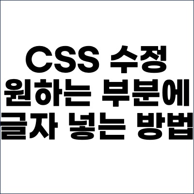 CSS 수정 원하는 부분에 글저 넣는 방법 글자 이미지